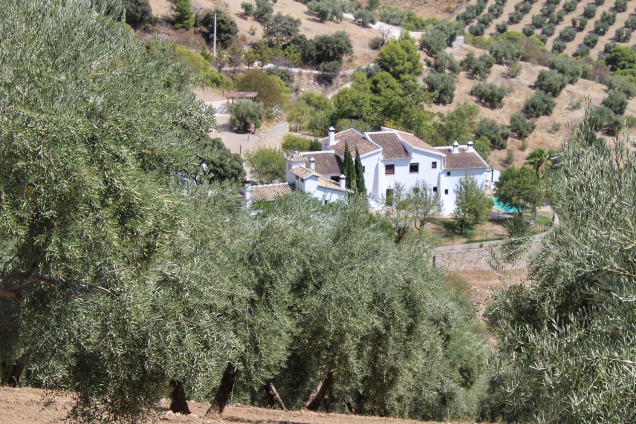 Cortijo La Fe Montefrío Exterior foto