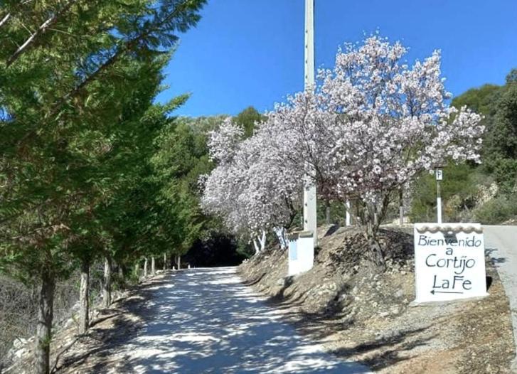 Cortijo La Fe Montefrío Exterior foto