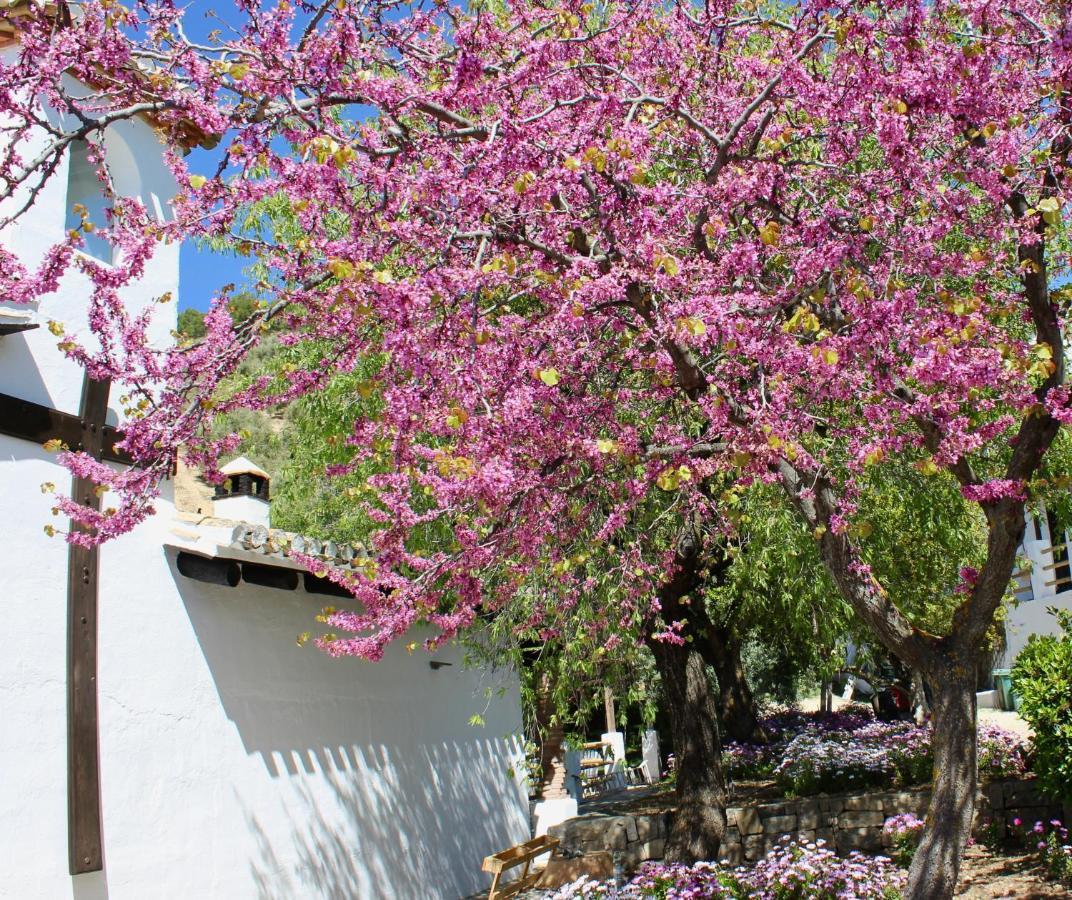 Cortijo La Fe Montefrío Exterior foto